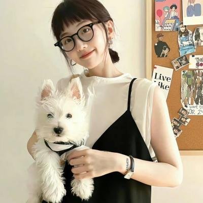 爱在飞